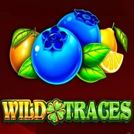 Try Wild Traces slot by Amusnet Interactive on ffugucasino.com – logo image